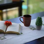 Cunda Morisi Ayvalı
